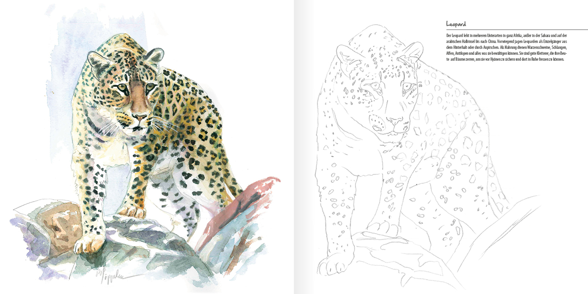 Afrikas faszinierende Tierwelt