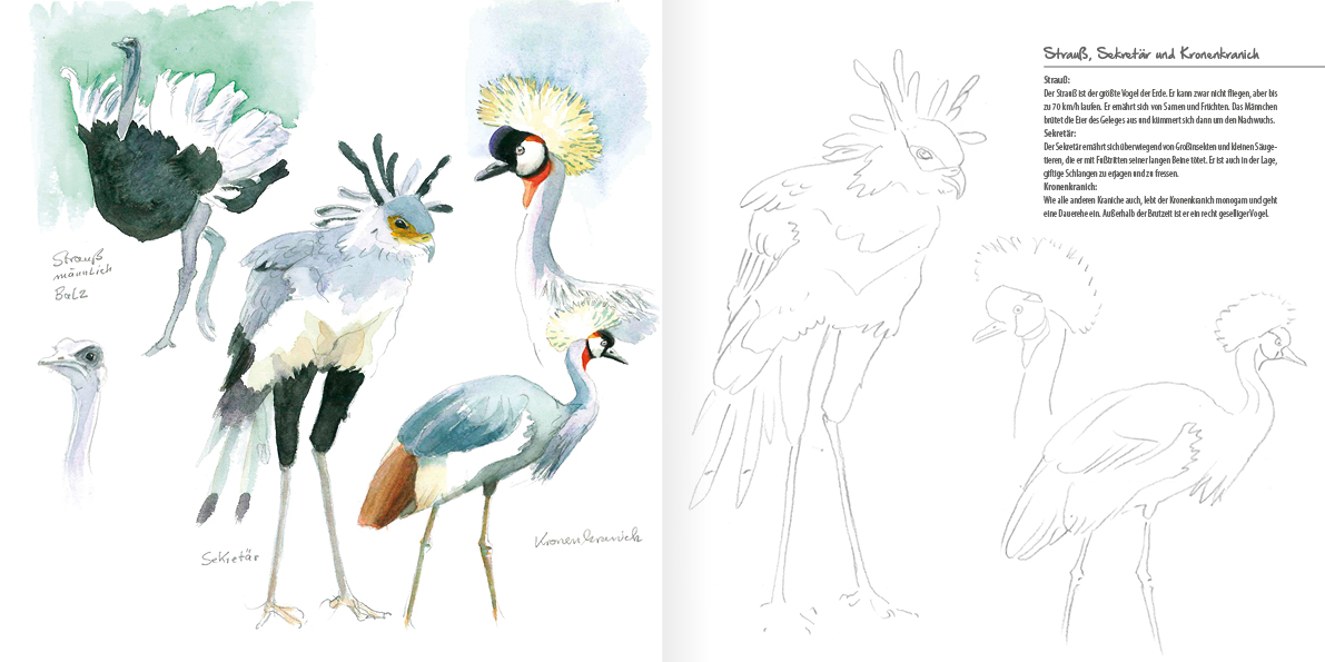 Afrikas faszinierende Tierwelt