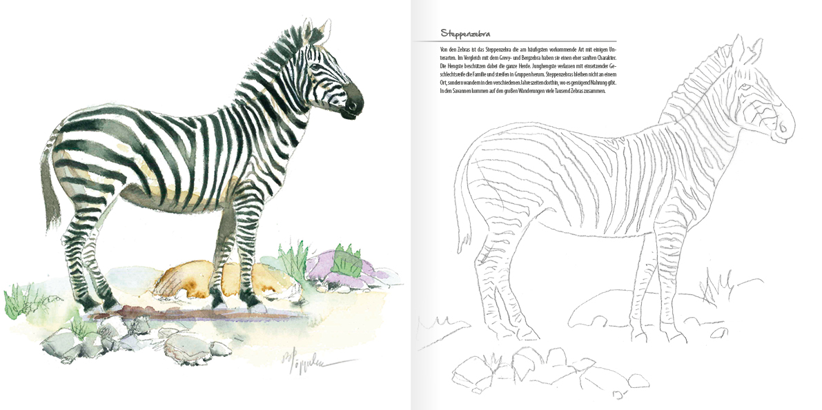 Afrikas faszinierende Tierwelt