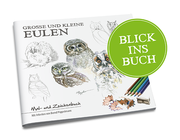 GROSSE UND KLEINE EULEN - Blick ins Buch