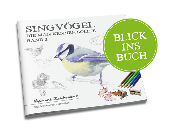 SINGVÖGEL Band 2 - Blick ins Buch