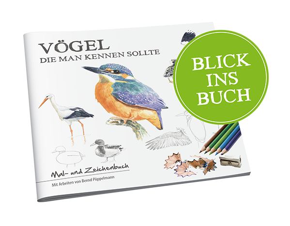 VÖGEL DIE MAN KENNEN SOLLTE - Blick ins Buch