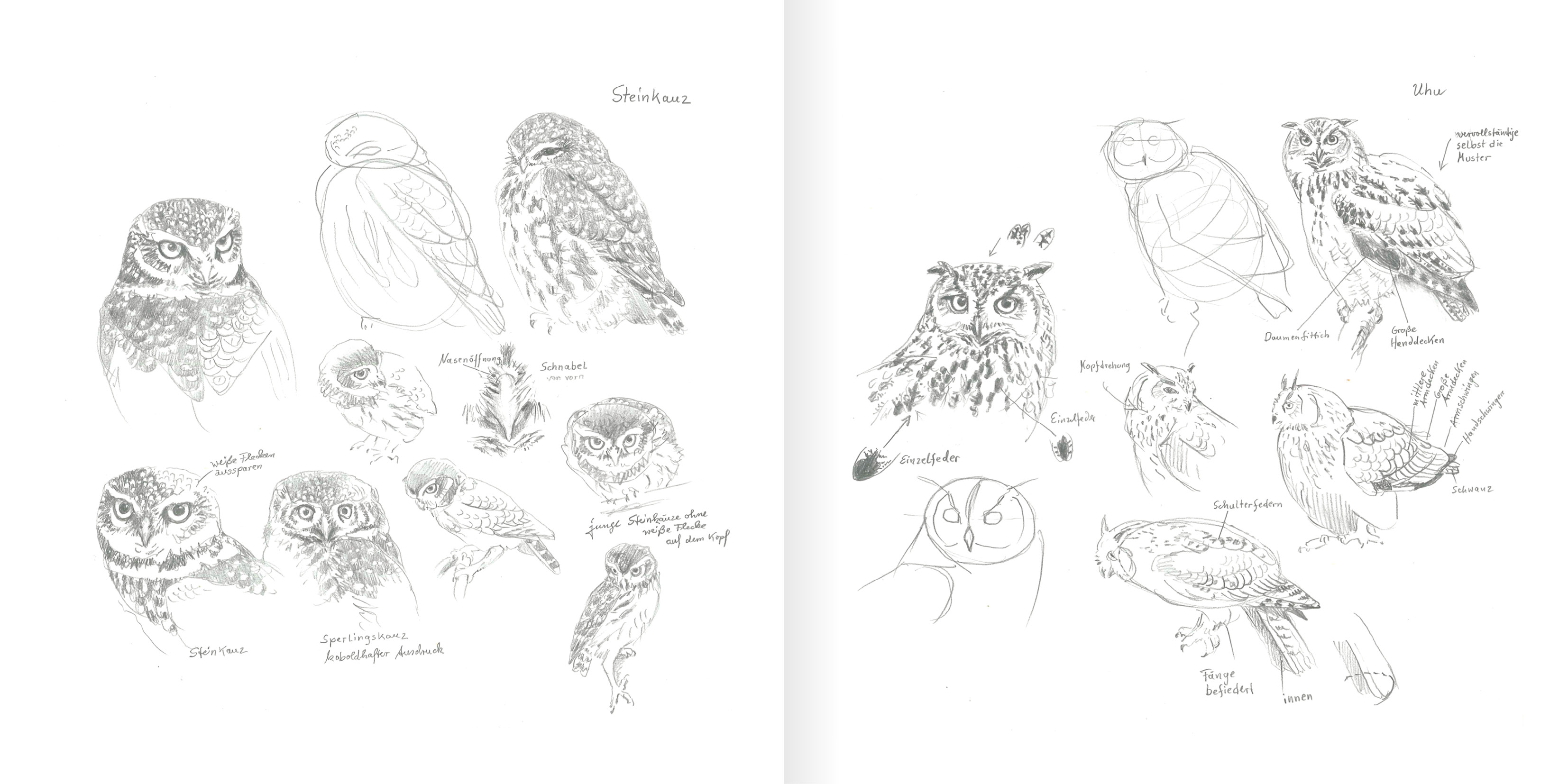 Große und kleine Eulen