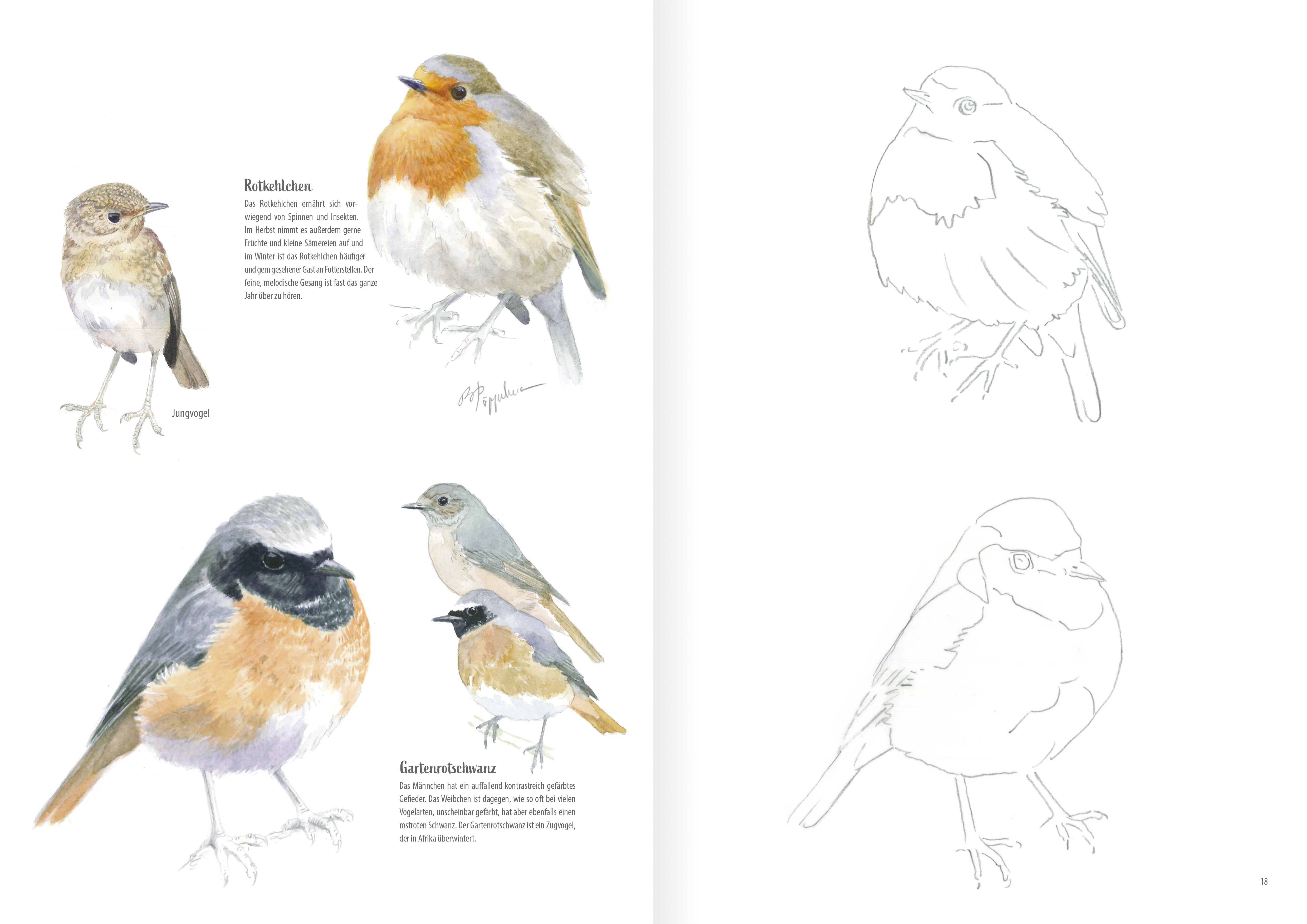 Heimische Vogelarten