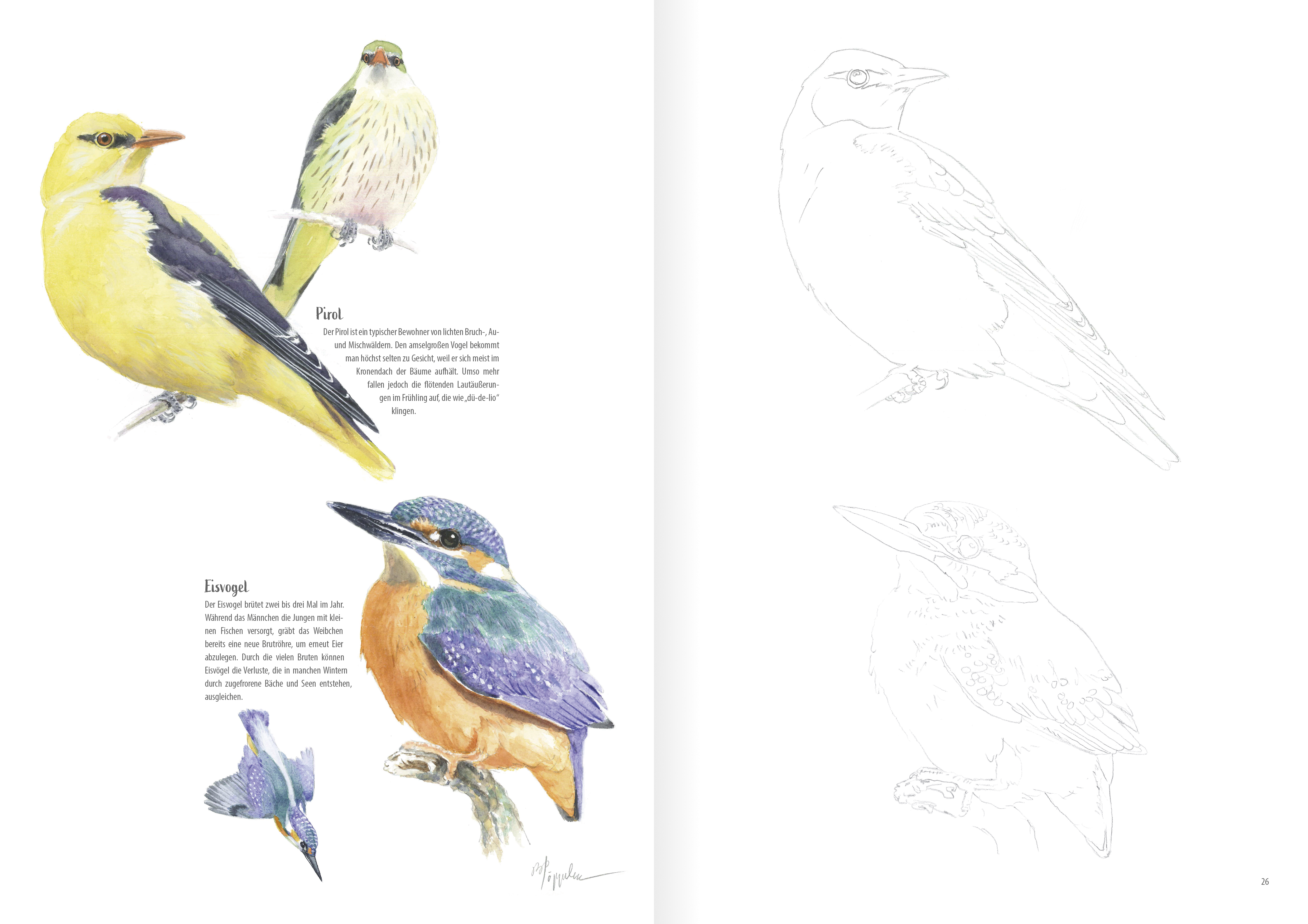 Heimische Vogelarten