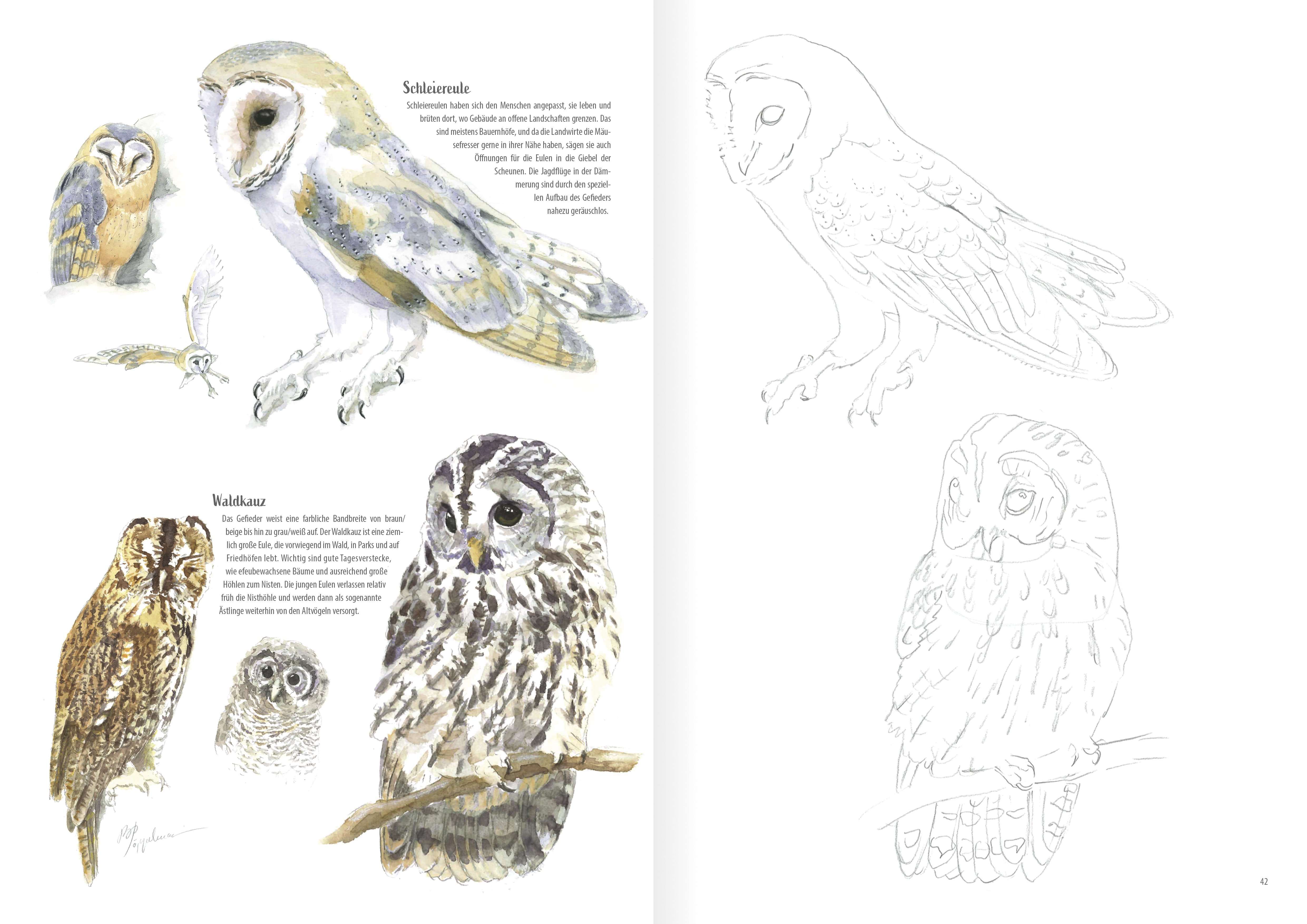 Heimische Vogelarten