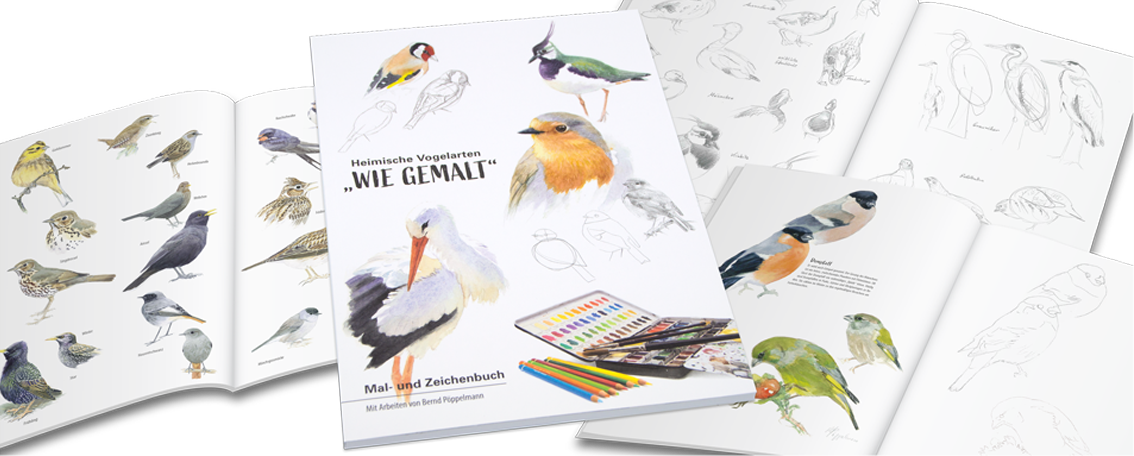 Heimische Vogelarten