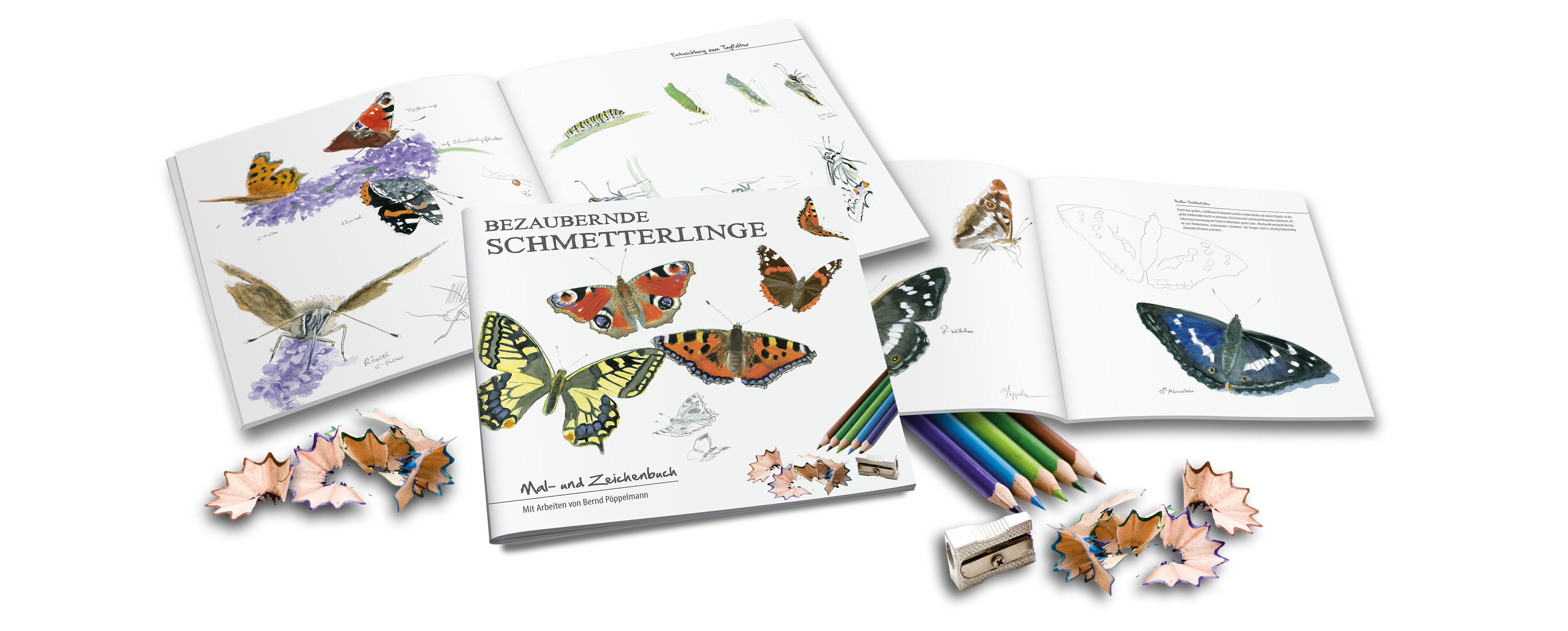 Vögel die man kennen sollte