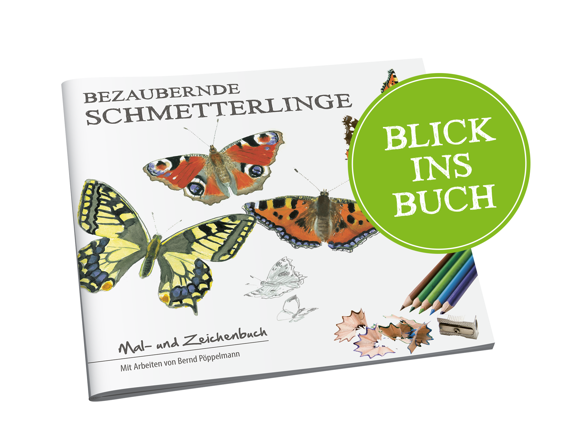 Heimische Vogelarten - wie gemalt