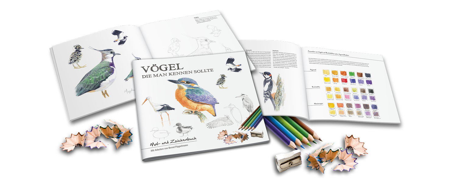 Vögel die man kennen sollte