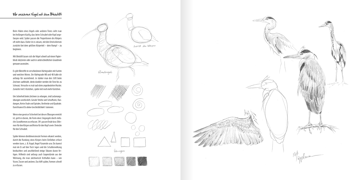 Vögel die man kennen sollte