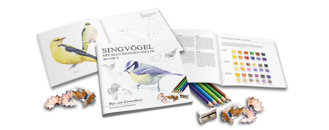 Singvögel Band 2